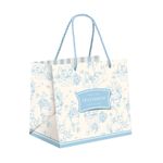 179751_Sacola-Laminada-Premium-Classico-Frances-Azul-22x165x20--14001169--CROMUS