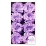 185435_Forminha-Anitta-Decorada-Lilas-Candy-Color-40-Unidades-MAXIFORMAS