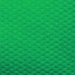 8250_Saco-Tnt-Verde-Bandeira-13X25cm-10un--00024--FASCINACAO_3