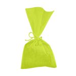 16070_Saco-Tnt-Verde-Limao-13X25cm-10un--00038--FASCINACAO