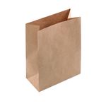 190524-Saco-De-Papel-Kraft-Delivery-PP-23x175x9x5cm-10-Unidades-21010234-CROMUS-1.jpg