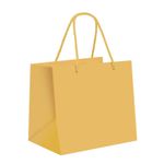 208276-Sacola-Premium-Para-Meio-Ovo-Butter-Yellow-Pequeno-22X20X14CM-14001757-CROMUS.jpg