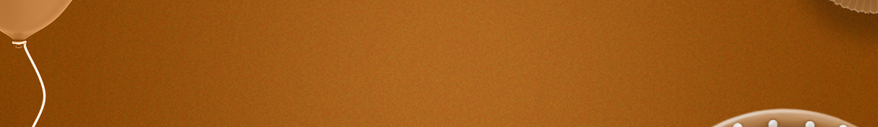 Banner Festa marrom